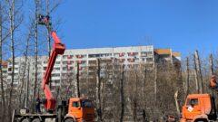 В Туле раньше срока приступили к весенней уборке города