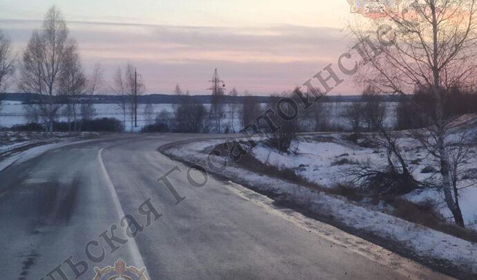 В Щекине автомобиль влетел в дерево и перевернулся. В ДТП пострадал ребенок