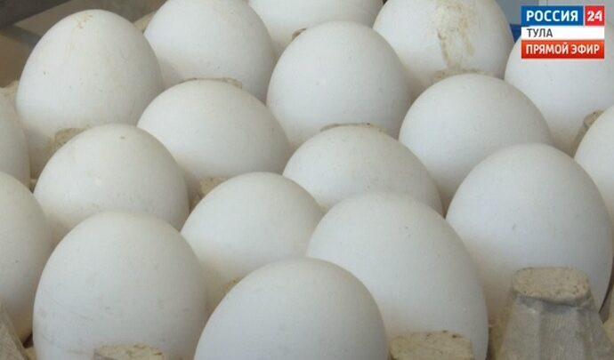 Нанесут ли цены удар по яйцам?