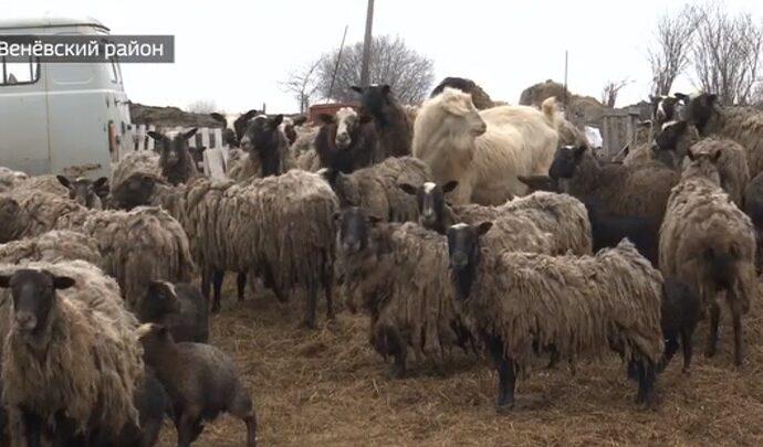 Как получить без возврата до 250 тыс. рублей от государства на открытие дела?