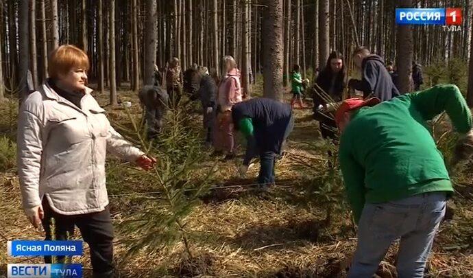 300 саженцев дуба, 80 елей и 50 лип: Ясная Поляна получила подарок от областных депутатов