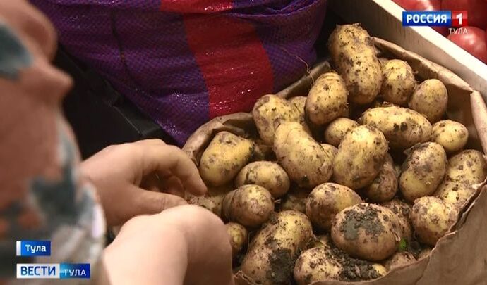 Эндокринолог рассказала, как обезопасить организм от попадания паразитов