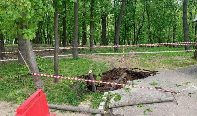 В Платоновском парке земля ушла из-под ног