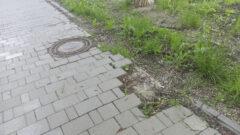 Заплатки, грязь и ржавчина: как выглядит Металлургов спустя 8 месяцев после ремонта по БКД