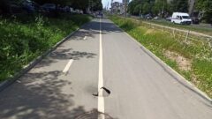 В Туле провалился асфальт на тротуаре, отремонтированном по нацпроекту в прошлом году
