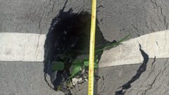 В Туле провалился асфальт на тротуаре, отремонтированном по нацпроекту в прошлом году