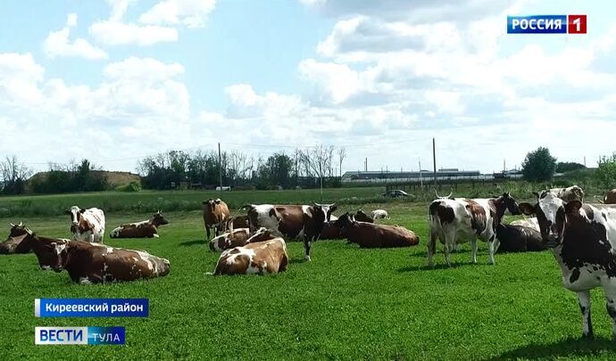 Киреевские молочники объяснили повышение отпускных цен