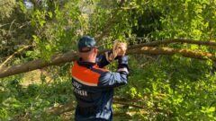 Из-за мусора в реке в Туле каждый год затапливает 15 домов