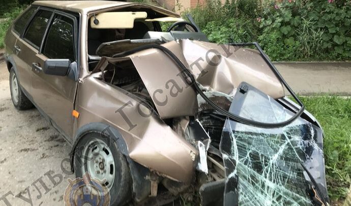 Пьяные покатушки в Щёкине: водитель чуть не угробил друзей