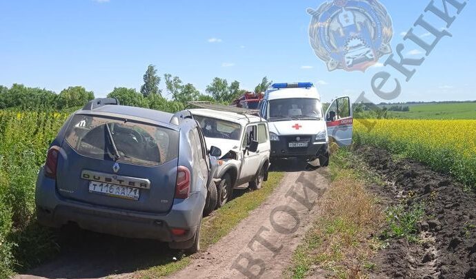 Водитель «Нивы» погиб после столкновения в поле с «Дастером»
