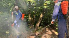 Штрафы увеличены вдвое: Тульские спасатели вышли в противопожарный рейд