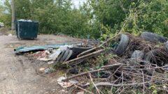 Активисты подозревают донских чиновников в растрачивании бюджетных денег