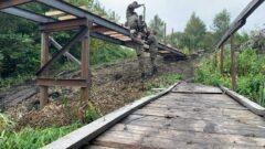 Министерство обороны приступило к возведению последнего в этом году моста в Тульской области
