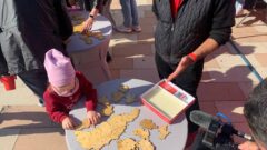 Как прошел День города в Туле. Мобильный фоторепортаж