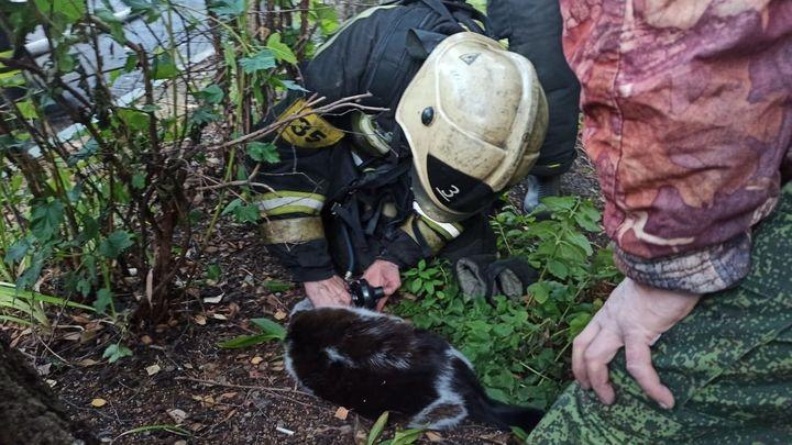 15 человек и кошку эвакуировали пожарные из горящего дома в Туле