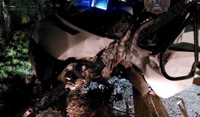 Пьяного водителя автобуса в Узловском районе остановило дерево