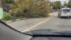 В Туле ветер повалил электрические столбы В Туле ветер повалил электрические столбы