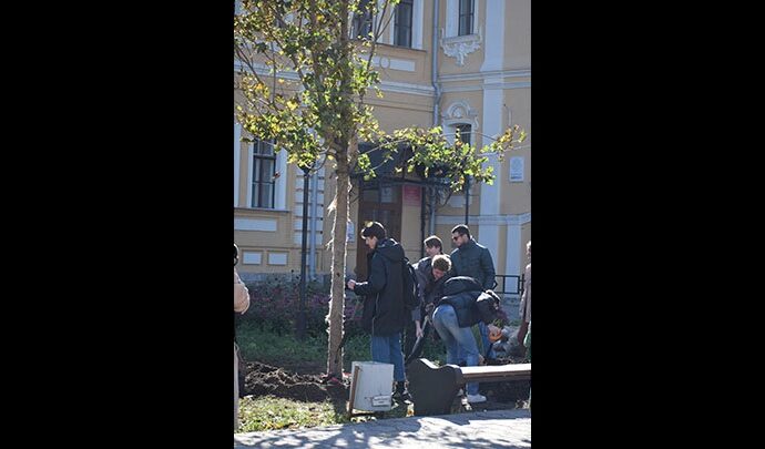 В Туле выпускники истфака высадили памятный клён возле первого корпуса ТГПУ