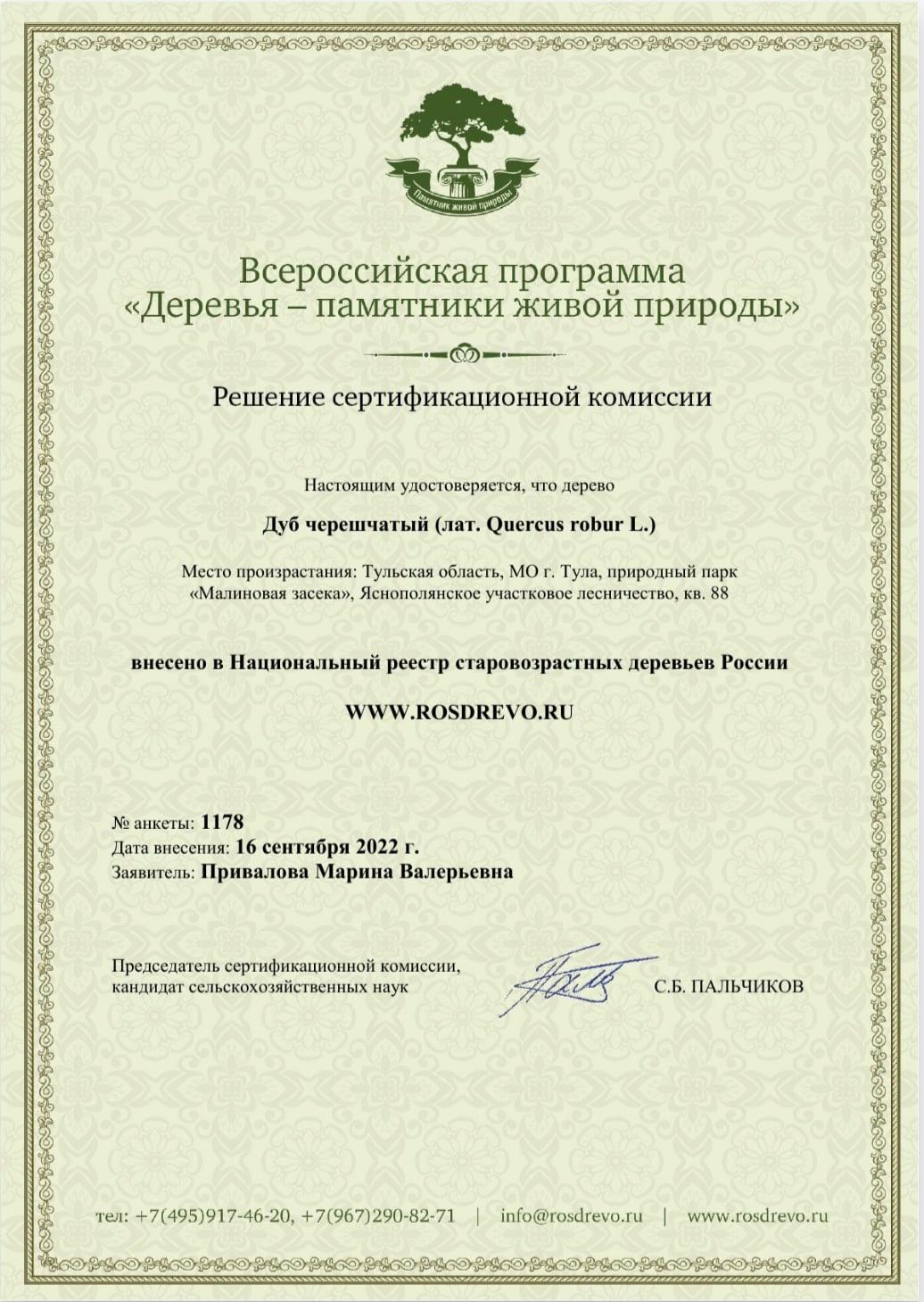 Тульский 200-летний дуб попал в реестр старовозрастных деревьев России