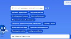 Туляки могут подать жалобу по частичной мобилизации через «Госуслуги»