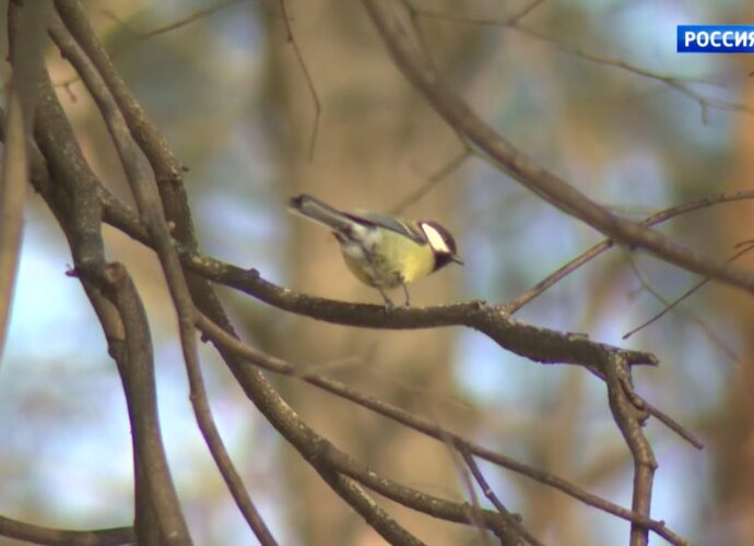 Метеоролог Шувалов: «В субботу и воскресенье погода пойдёт на поправку»