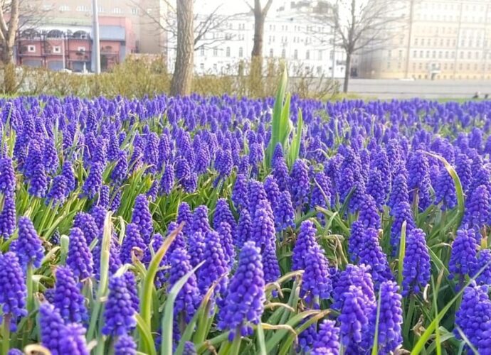 Метеоролог Шувалов поздравил туляков с новым температурным рекордом