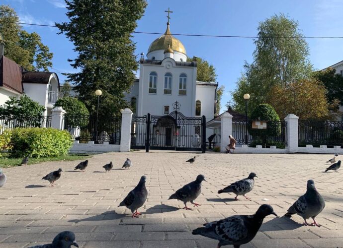 Птичку жалко: почему церковь против традиции выпускать пернатых на Благовещение?