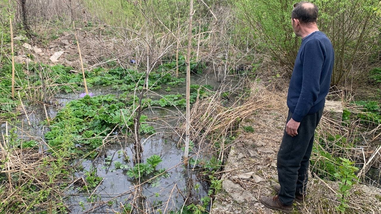 В Болохово нечистоты затопили огороды