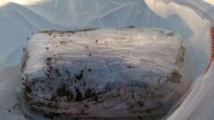 В Ясногорском районе задержан москвич с 2 кг мефедрона В Ясногорском районе задержан москвич с 2 кг мефедрона