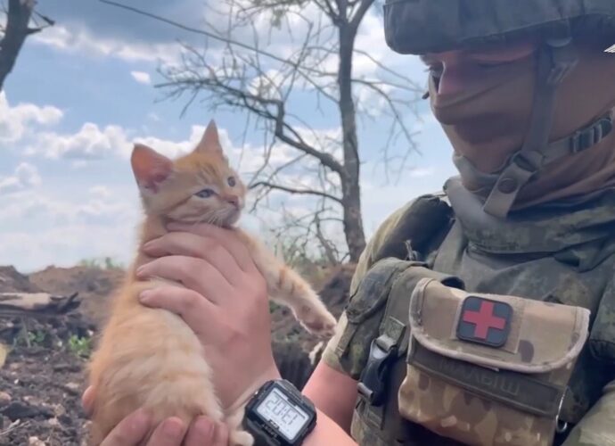 Тульские десантники в зоне СВО показали своего бойца с мышами