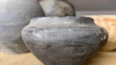 В Туле пройдёт праздник городской игрушки