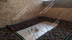 Новый миграционный рейд на Пирогова: проверено более 300 человек