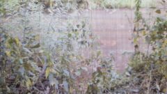 Похищение и убийство жителя Алексина: уголовное дело 3-х мужчин ушло в суд