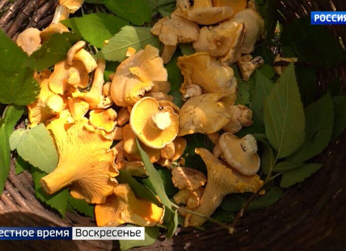 Вести недели. Тула. 16.07.2023 Вести недели. Тула. 16.07.2023
