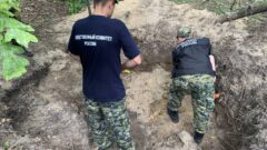Во имя закона: 25 июля - День сотрудника органов следствия РФ