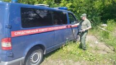 Во имя закона: 25 июля - День сотрудника органов следствия РФ В Хомяково подросток нанес смертельный удар пенсионеру