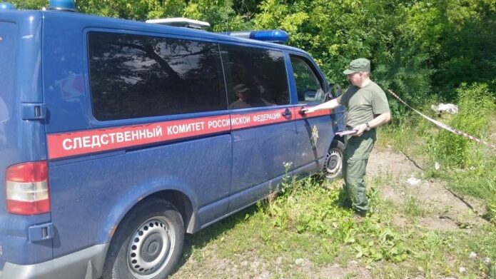 Во имя закона: 25 июля - День сотрудника органов следствия РФ В Хомяково подросток нанес смертельный удар пенсионеру