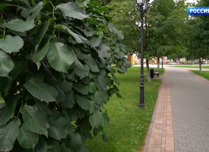 Это на 30% больше, чем в предыдущем периоде.