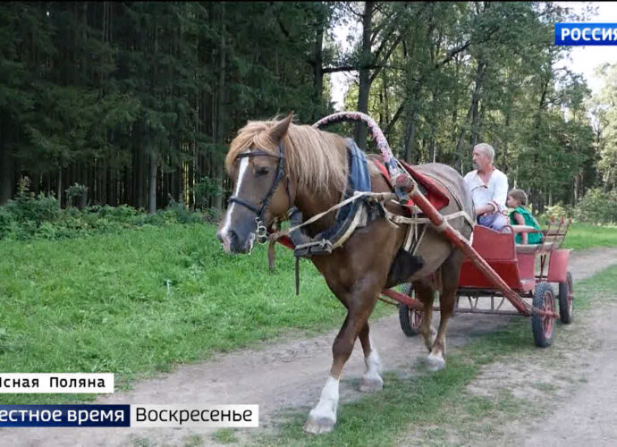 События недели. Эфир от 13.08.2023 Россия 1 События недели. Эфир от 13.08.2023 Россия 1