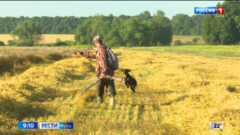 Больше лосей - больше разрешений на охоту