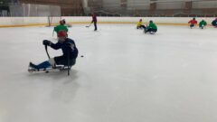 В Алексине проходят сборы российской сборной по следж-хоккею