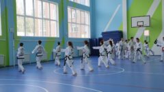 В Новомосковске открылся Центр поддержки одарённых детей «Созвездие»