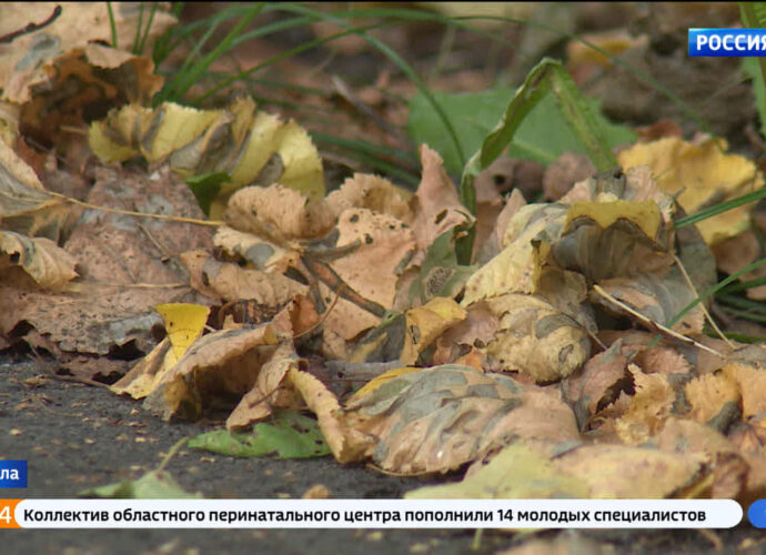 Психолог объяснила отличие осенней хандры от депрессии