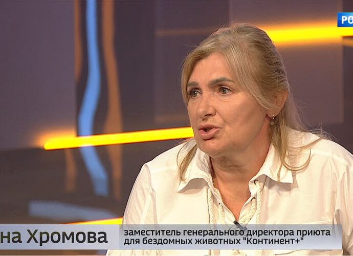 Интервью. Замдиректора приюта для животных «Континент+» Елена Хромова