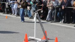 Соревнования “Сила Тулы” прошли на площади Ленина. Фоторепортаж