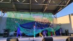 Ефремову исполнилось 386 лет