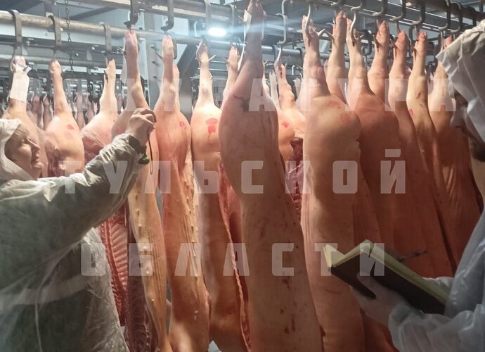 В ООО «Вектор» прокуратура нашла нарушения при хранении мяса