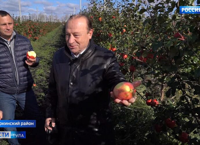 Депутаты Тульской Облдумы оценили куркинские яблоки