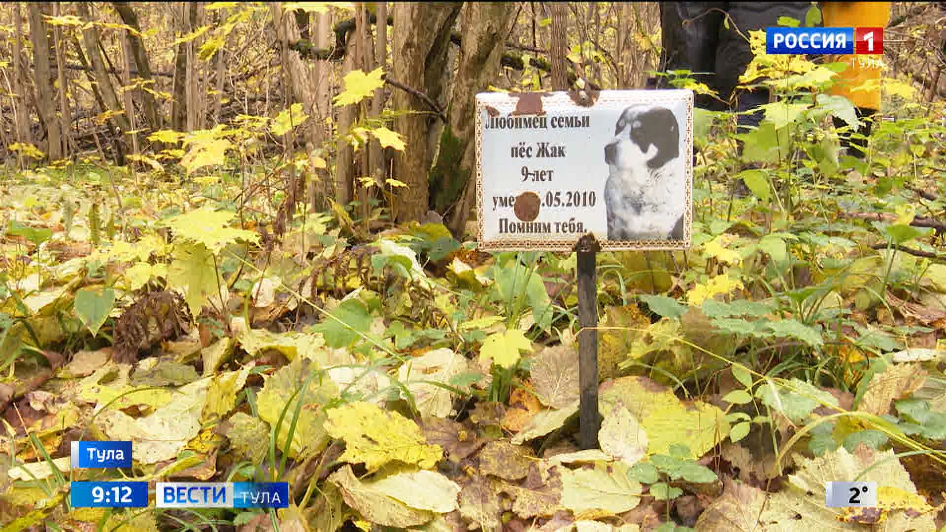 Кладбище домашних животных пугает туляков