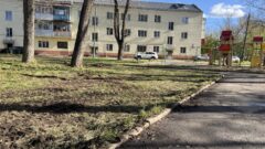 «Встречающие» вернулись в Пролетарский округ